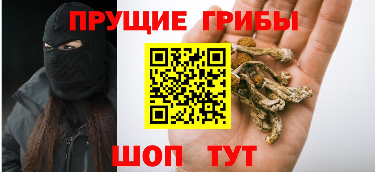 Минеральные Воды  Галлюциногенные грибы Magic Shrooms  Галлюциногенные грибы Magic Shrooms  купить наркоту  Вход с VPN 